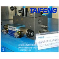 山东泰丰智能供应摆剪剪板机用插装阀QC12Y-ZW6X3200CV-00(DG16)