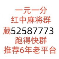 跑得快推荐1元1分群