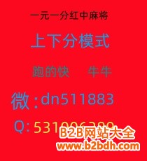 Image_288860960249986