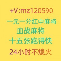 [玩家必看]微信红中麻将@群(小红书)