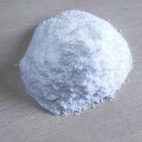 磷酸肌酸二钠盐的代谢过程
