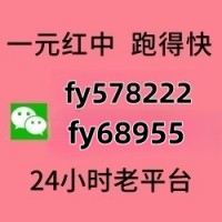 哪里能找到一元一分红中麻将群@绝对稳定