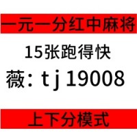 有想玩5毛一块跑得快群【麻将天地】