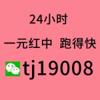 （来了解）广东1块2块红中麻将群（干货）