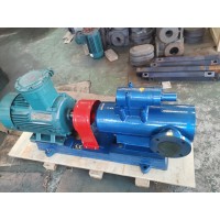 齿轮油泵 大流量易操作 天一泵业