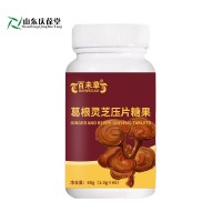 葛根灵芝压片糖果皇庵堂加工定制
