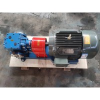 YHCB圆弧齿轮泵 氯化亚砜打料泵