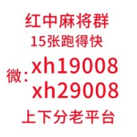 广东一码全中红中红中麻将微信群（24小时）