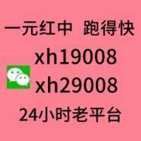 （文静）一元一分真人跑的快群【必看教程】