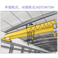 广东东莞双梁欧式起重机销售厂家 介绍其保养事项