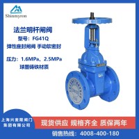 法兰闸阀  明杆弹性座封闸阀FG41Q