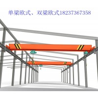 四川雅安起重机厂家 介绍单梁行车在吊装工程中安全预防措施