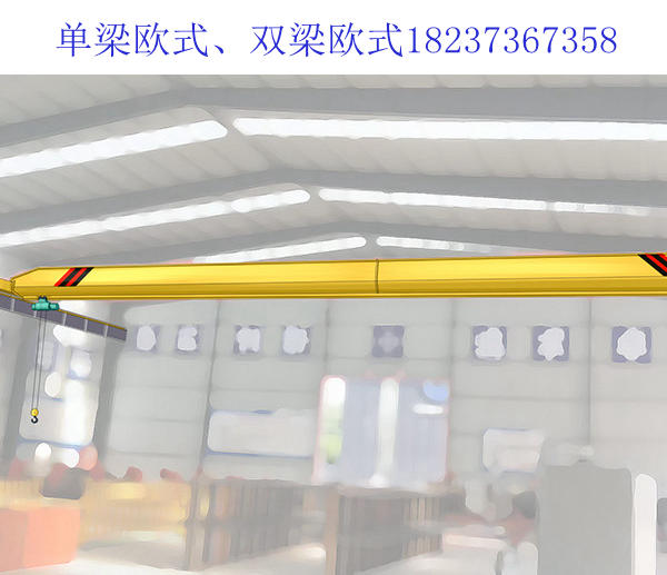 单梁欧式起重机036