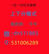 Image_288860960249986