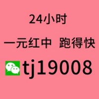 （总结）想玩1块打牌跑得快群【正规麻将】