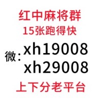 （团结）广东一元一分红中麻将群（来了解）