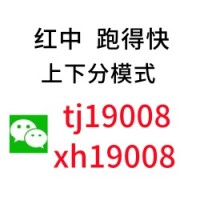 （潇洒）一块跑的快群哪里有（现场直人）