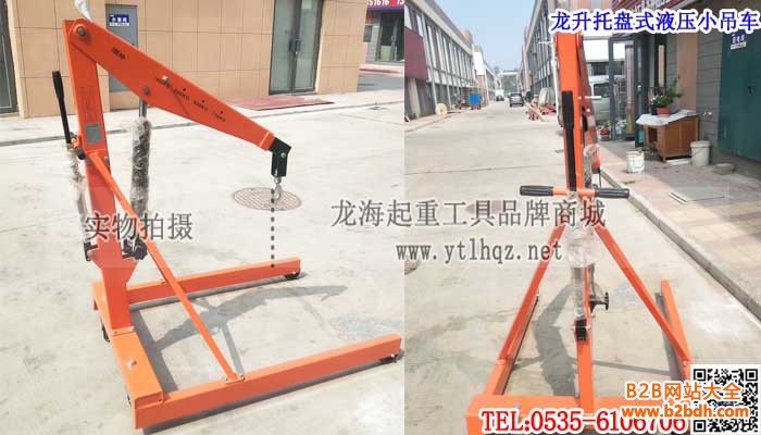 龙升托盘式液压小吊车单条大图