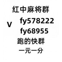 （学而不厌 ）24小时不熄火一块红中麻将群跑得快群