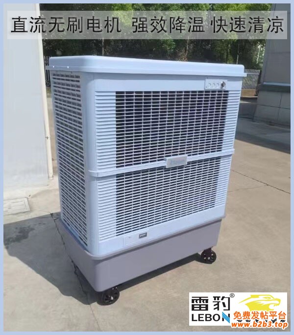 雷豹直流无刷电机
