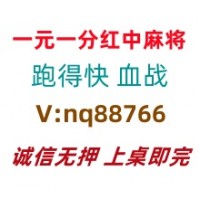 【快速理解】一元一分红中麻将@2025已更新