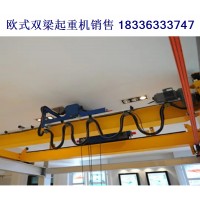 欧式行吊的防摇摆技术是如何实现的