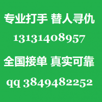 雇打手杀手打架报复毁容残废13131408957