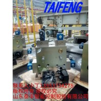 YLMJ-200TCV-00泰丰智能供应打包机插装阀组
