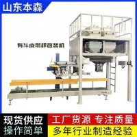 炭黑吨袋定量包装秤