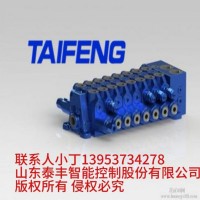TRM15-BH-08-CT-02挖机多路阀泰丰厂家现货供应
