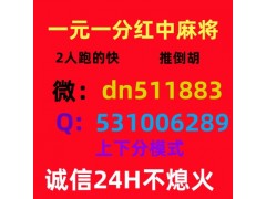 真人麻将群24小时1元1分麻将群头条问答