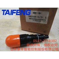 山东泰丰供应DBDS10K直流溢流阀工厂直销