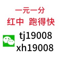 （自信）有想玩5毛一块跑的快群【麻将天地】